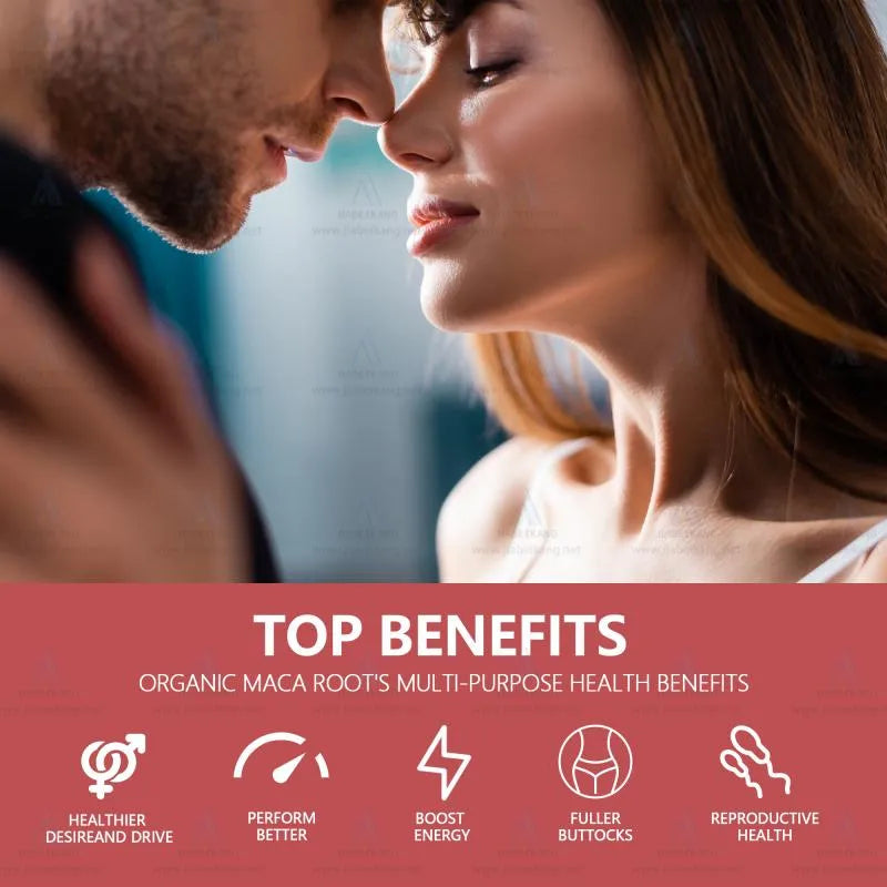 OEM Maca Root Capsules | Men's Wellness & Energy Support Supplement Supplier