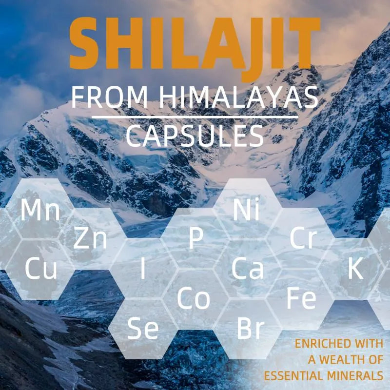 Shilajit AG 8-in-1 Advanced Herbal Blend Capsules for Daily Wellness