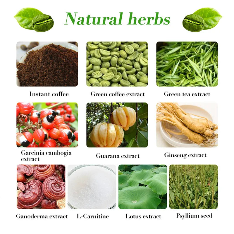 Biyode Lingzhi Green Coffee Powder 10g Supplement